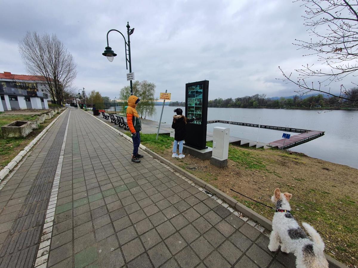 Andjelka A26 Apartment Veliko Gradiste Luaran gambar